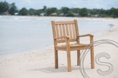 Teak garden table 300x100cm + 10 Beaufort chairs